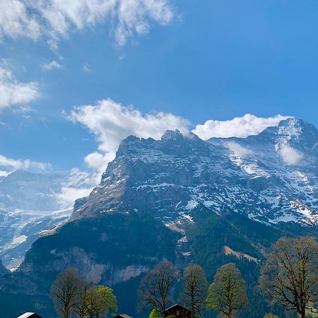 Eiger, Jungfrau, Luxury Garden Apartment Grindelwald Eksteriør bilde