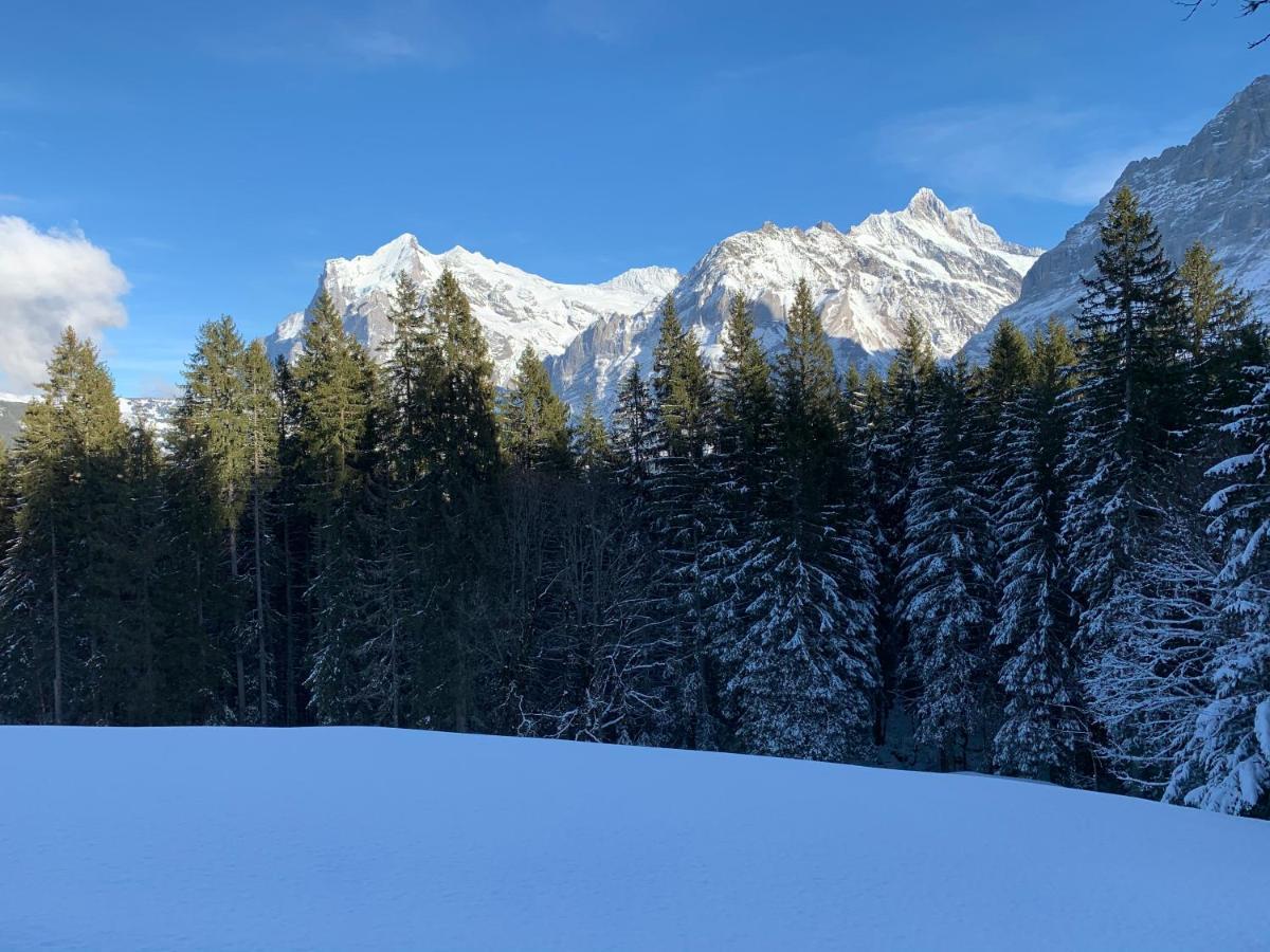 Eiger, Jungfrau, Luxury Garden Apartment Grindelwald Eksteriør bilde