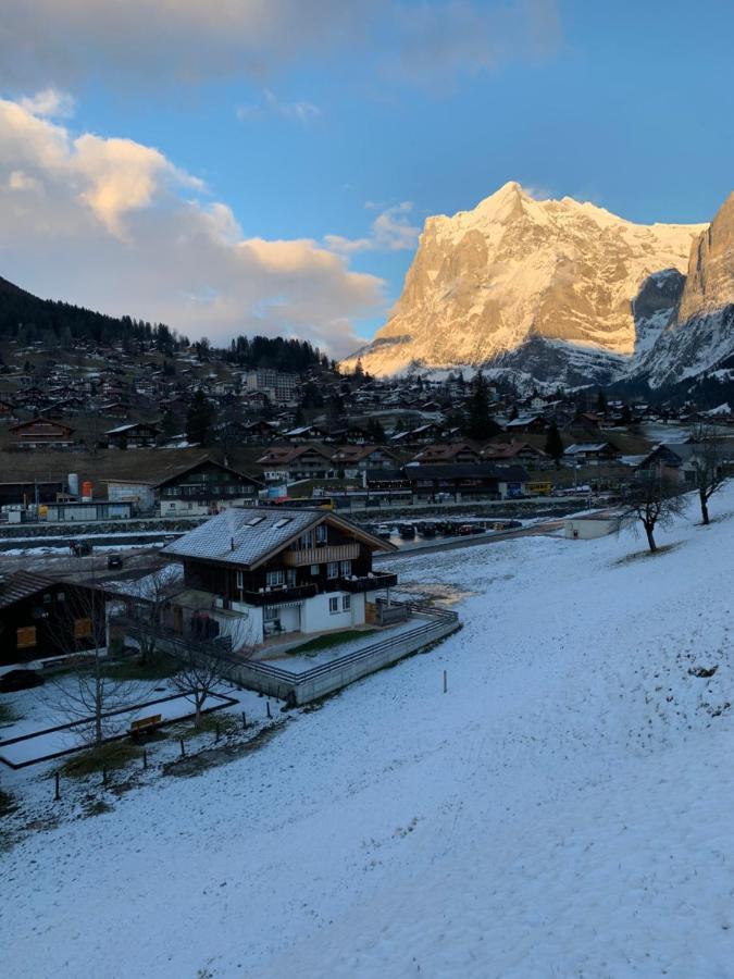 Eiger, Jungfrau, Luxury Garden Apartment Grindelwald Eksteriør bilde