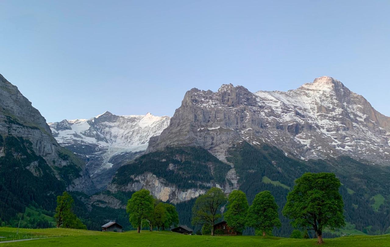 Eiger, Jungfrau, Luxury Garden Apartment Grindelwald Eksteriør bilde