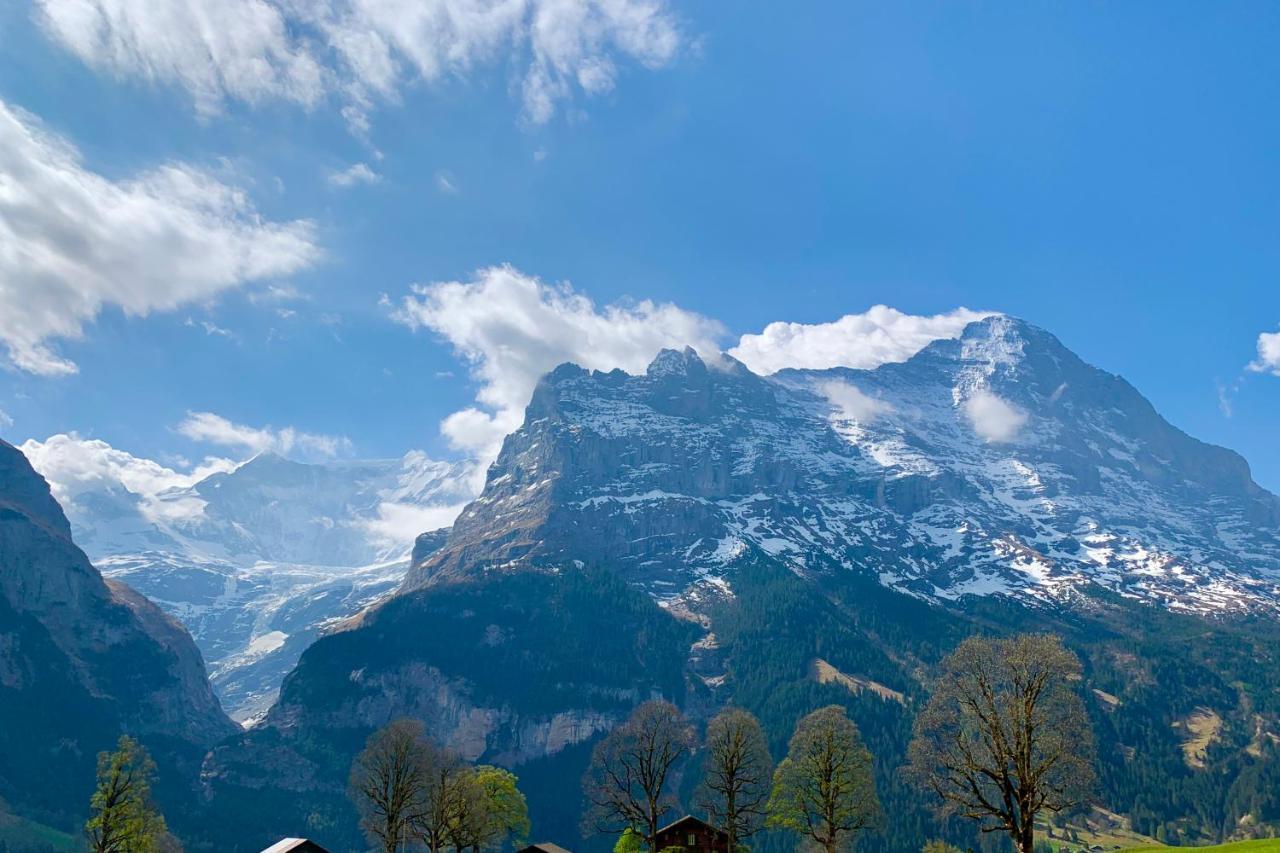 Eiger, Jungfrau, Luxury Garden Apartment Grindelwald Eksteriør bilde