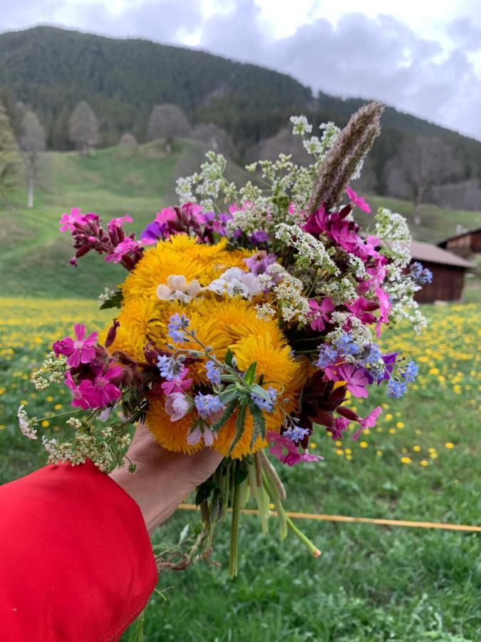 Eiger, Jungfrau, Luxury Garden Apartment Grindelwald Eksteriør bilde