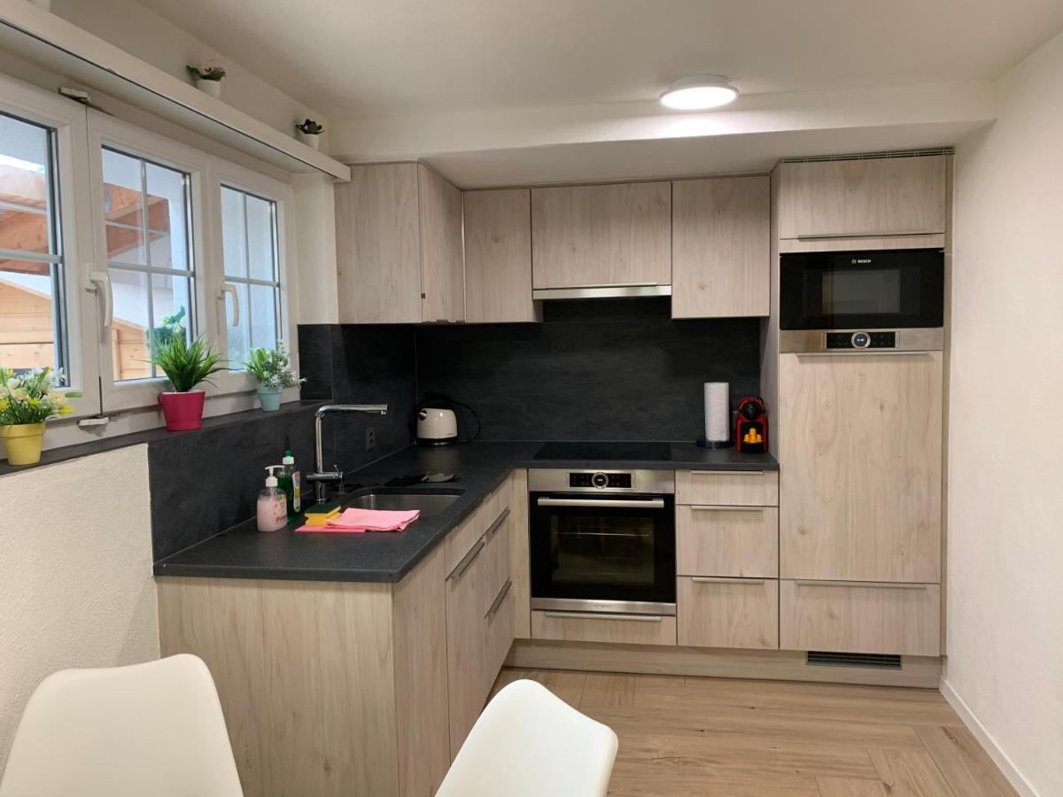 Eiger, Jungfrau, Luxury Garden Apartment Grindelwald Eksteriør bilde